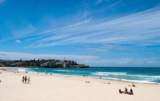 澳大利亚悉尼曼利海滩潜水点官网|地址|电话|怎