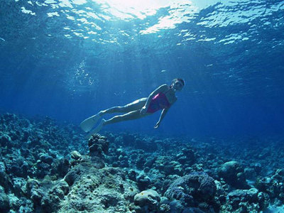 马尔代夫胜利号潜水点电话地址价格介绍,马尔