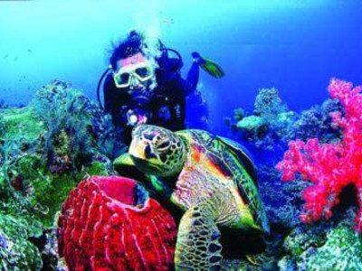 斐济Caesar's Rocks潜水点电话地址价格介绍,