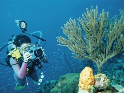 迪拜波斯湾潜水点电话地址价格介绍,迪拜波斯