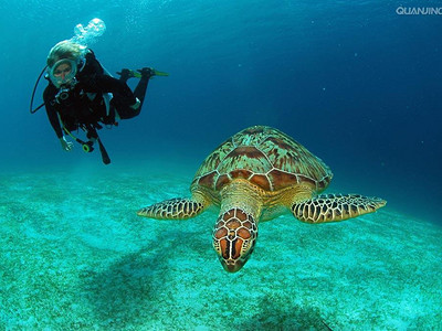 希腊圣托里尼岛Nea Kameni潜水点电话地址价