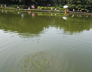深圳四海公园垂钓场官网|地址|电话|怎么样