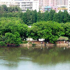 全国钓鱼点钓鱼场地查询点评 -第56页