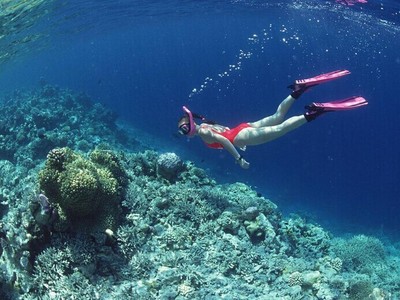 三亚鲸息湾潜水点电话地址价格介绍,三亚鲸息