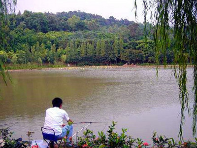 深圳莲花山公园钓鱼场垂钓钓鱼点在哪里,深圳