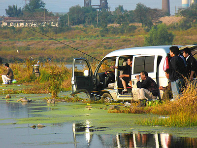 廊坊凤河垂钓钓鱼点在哪里,廊坊凤河垂钓路线