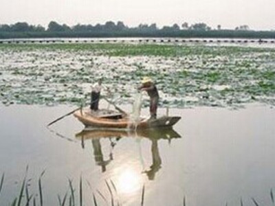 保定白洋淀垂钓钓鱼点在哪里,保定白洋淀垂钓