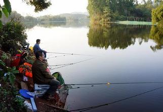 南宁金沙湖风景区垂钓官网|地址|电话|怎么样