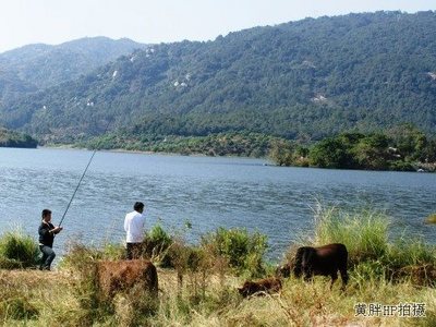 厦门集美坂头水库垂钓钓鱼点在哪里,厦门集美
