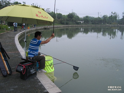南京板桥生态园垂钓钓鱼点在哪里,南京板桥生