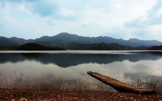 钦州石梯水库垂钓官网|地址|电话|怎么样