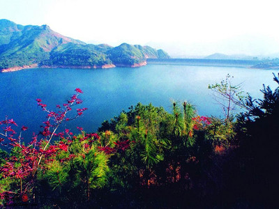 温州苍南桥墩水库垂钓钓鱼点在哪里,温州苍南