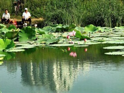 北京大井垂钓园垂钓钓鱼点在哪里,北京大井垂