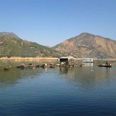 口碑最好的2014四川攀枝花钓鱼场地查询点评