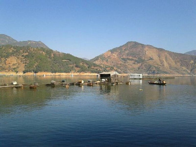 攀枝花渔门镇钓鱼场垂钓钓鱼点在哪里,攀枝花