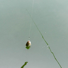 口碑最好的2014四川攀枝花钓鱼场地查询点评