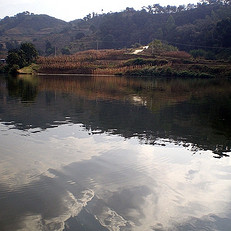 口碑最好的2014四川攀枝花钓鱼场地查询点评