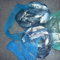 口碑最好的2014四川攀枝花钓鱼场地查询点评