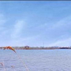 最新的2014山东东营钓鱼场地查询点评