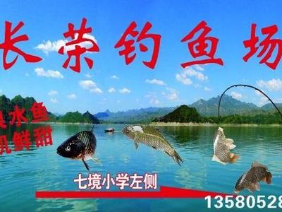 广州长荣钓鱼场垂钓官网|地址|电话|怎么样