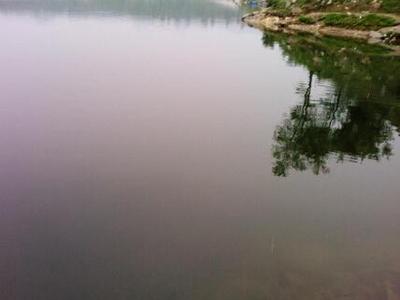 保定东五尧鱼塘垂钓官网|地址|电话|怎么样