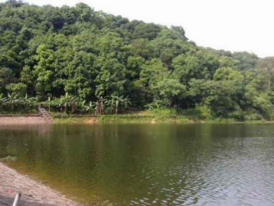 广州黄婆洞水库垂钓官网|地址|电话|怎么样-钓鱼