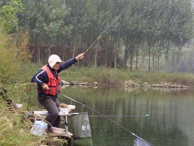 莱芜岭东水库垂钓官网|地址|电话|怎么样