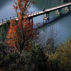 2015江西萍乡钓鱼场地查询点评