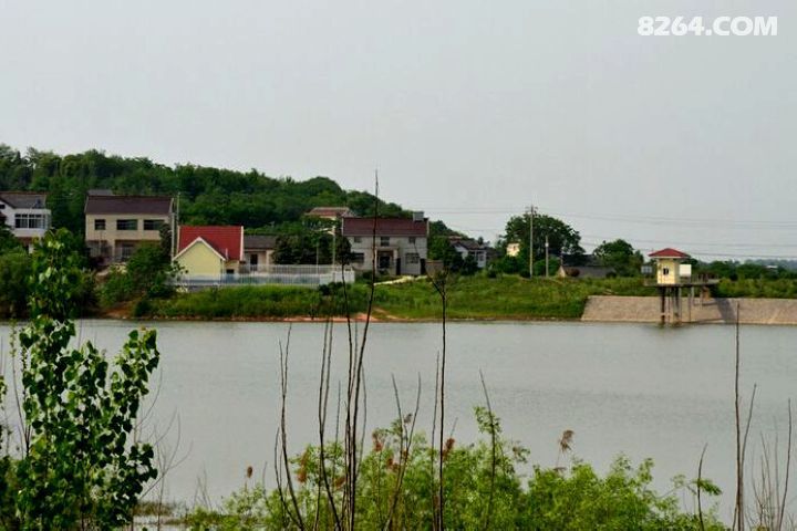 大堰水库面积不大,垂钓的环境不错,路很好走,交通比较方便。去之前听钓友说40元一天,但去了后没见有人来收费。后来我回去跟其他钓友说了,他们去了也说没人来收费。使用装备:4.5m短节溪流竿,主线:1.0、子线:0.8;饵料:底窝:巧而雅泡碎玉米、小米,钓饵:野战蓝鲫。奋战了一天,渔获:鲫鱼1条、餐条、昂刺、翘嘴竟有60多条。哈哈,几乎都是杂鱼,不过杂鱼还蛮大的,钓钓也挺有乐趣的。