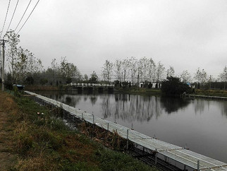 扬州高邮黄楝水库垂钓官网|地址|电话|怎么样-钓