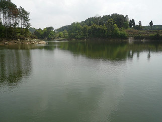 南宁老邹钓鱼山庄垂钓官网|地址|电话|怎么样