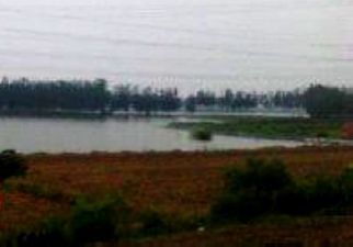 淮安石港外滩垂钓官网|地址|电话|怎么样-钓鱼场