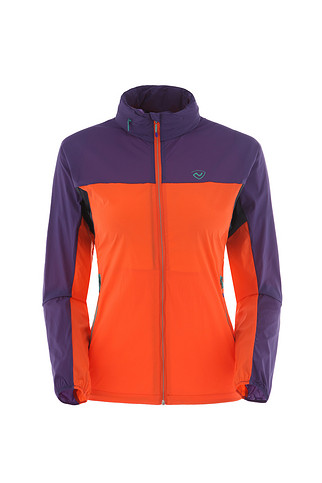 诺诗兰风衣_和平精英黄金风衣图片(3)