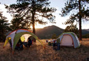 �ڷ絲����չ�  Kelty 2012����Ļ-Shadehouse
