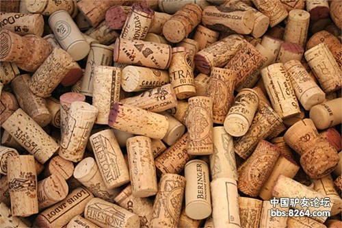 “酒香”从头而至 红酒塞打造的徒步保暖帽 - 综合 - 8264.com