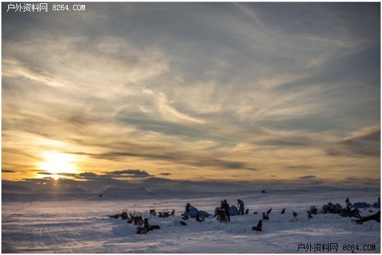享受户外 保护北极 瑞典北极狐极地穿越圆满结