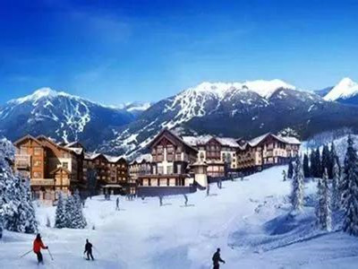 ���й�˾��ӵ���ֻ�ѩ��ҵ ����Ϊ�������