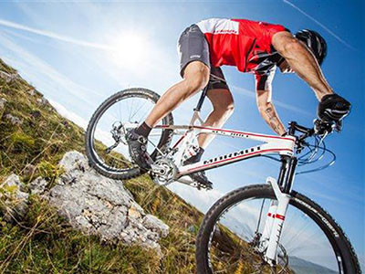 MARMOT������:�������н����й���������