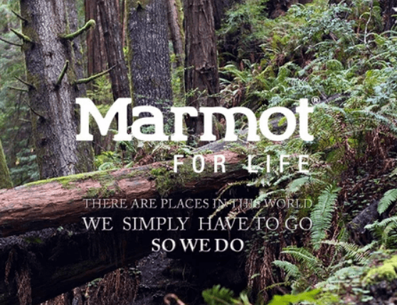 ���򵽵����������MARMOT