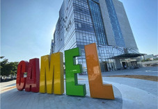 ���ջ����˶��ǵ���������¶Ӫ���⿧������