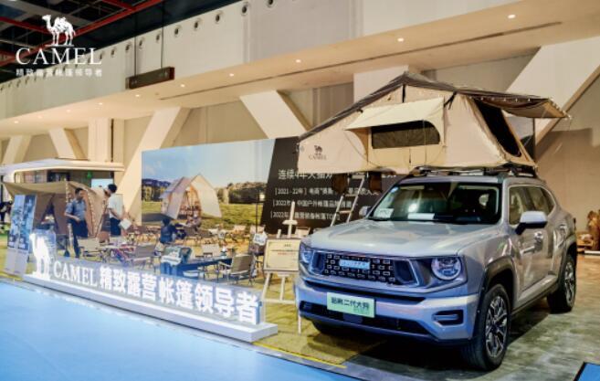 ����¶���� CAMEL������������¶Ӫ�·�ʽ��