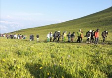 ����ھŶ�ɽ֮��