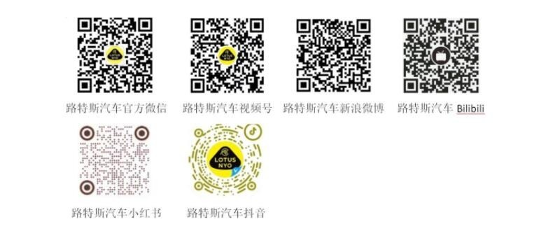 自行车赛车品牌排行_辐轮王梅花皮娜意大利一王四后公路车排名全世界自行车品牌天花板