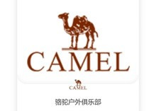 ����ȫ�����ջ�����ֲ�