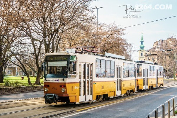 [PY小露宝]冬日三月在欧洲[我与沙发客主的故事