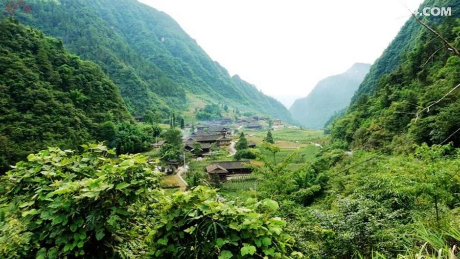 153482169930.jpg!t3w825h0