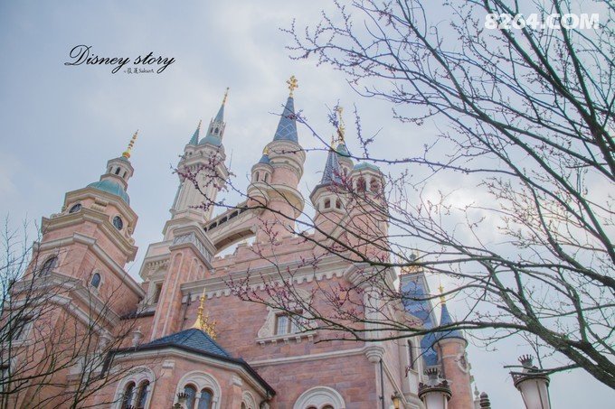 153554120235.jpg!t3w825h0