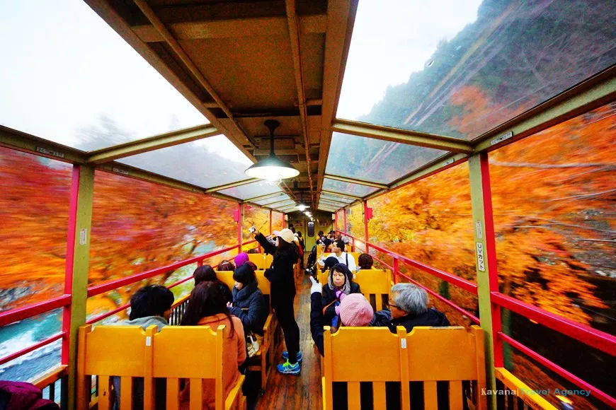 京都、奈良轻松搞定交通问题!含岚山小火车买