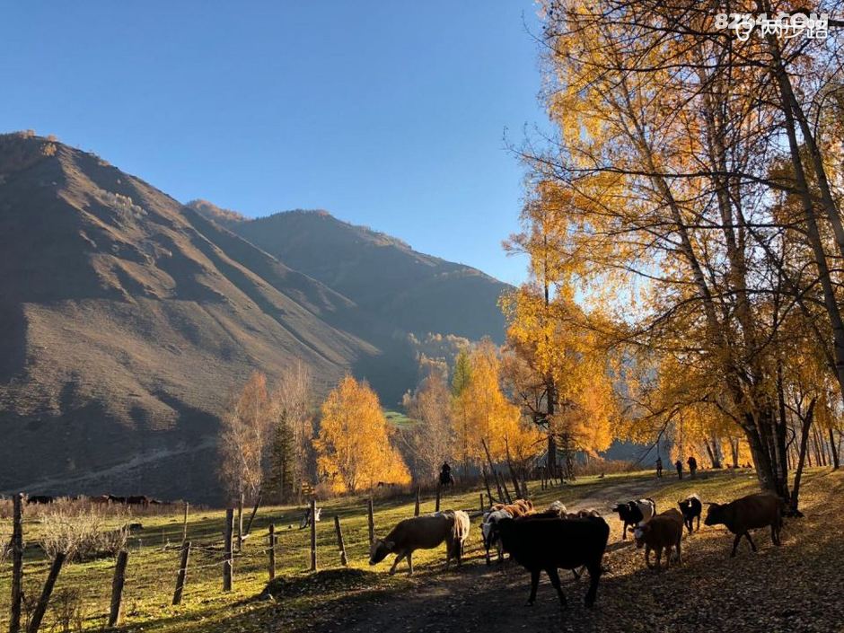 喀纳斯126公里穿越---从南走到北,从白走到黑