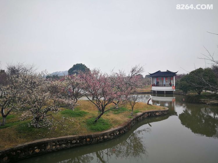 自什么清高成语_成语故事简笔画(2)